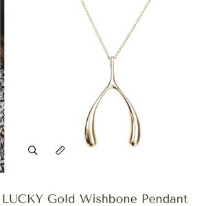 JANE WIN LUCKY Gold Wishbone Pendant.